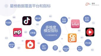 星榜加入中國商務廣告協會數字營銷委員會 引領廣告業務新篇章