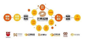 芒果超媒上半年業績飆升 扣非凈利勁增74倍，會員與廣告業務雙翼齊飛